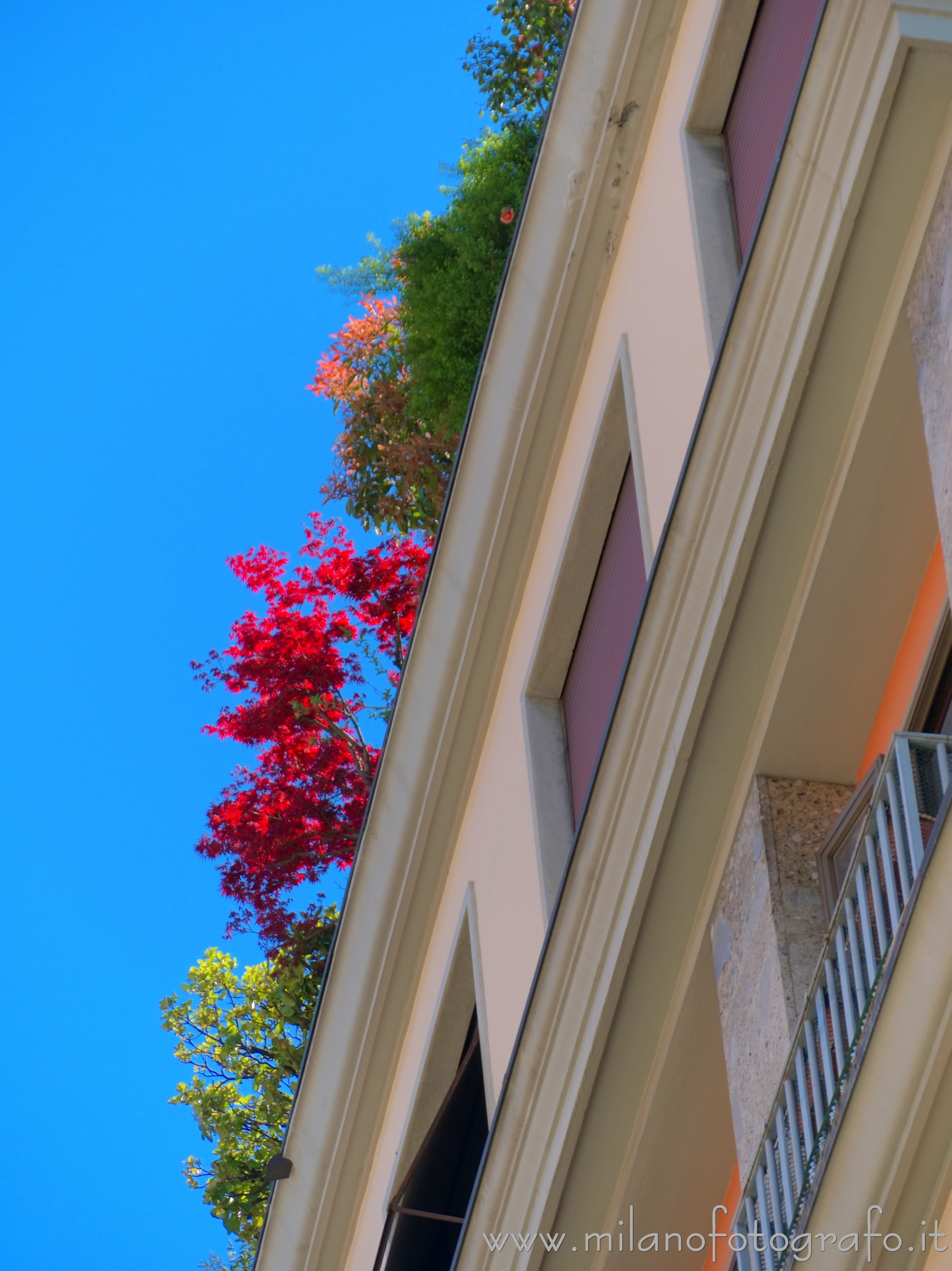 Milano - Colori della primavera nelle piante su una terrazza nel Quadrilatero del Silenzio